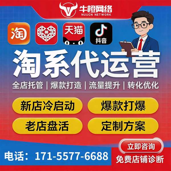 濮阳电商代运营