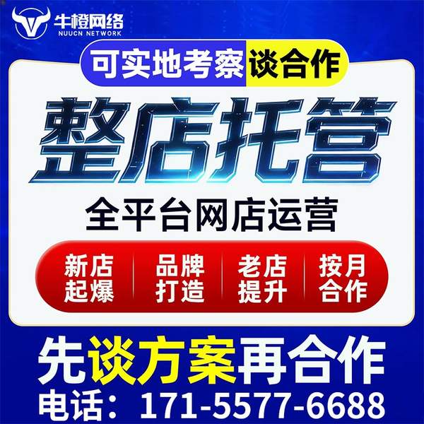 濮阳电商代运营