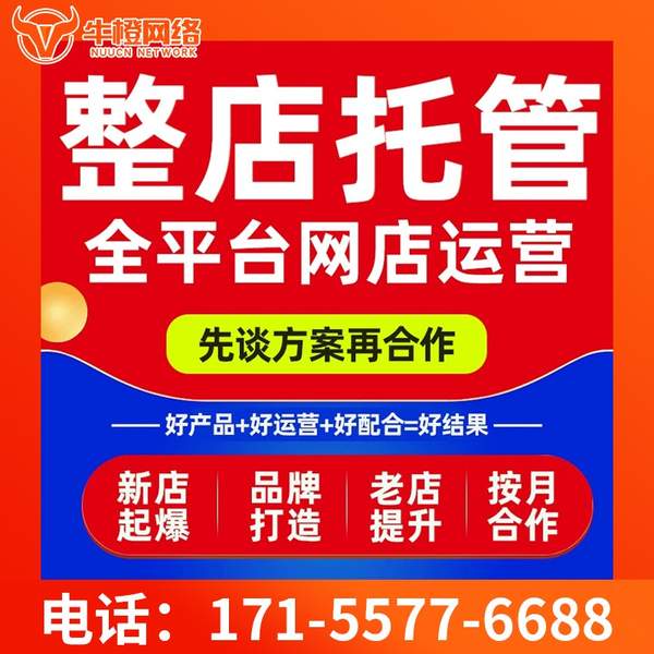 濮阳电商代运营