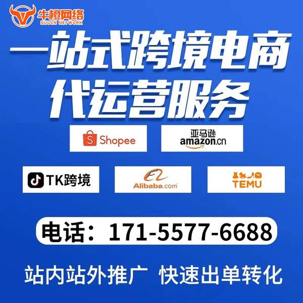 濮阳电商代运营