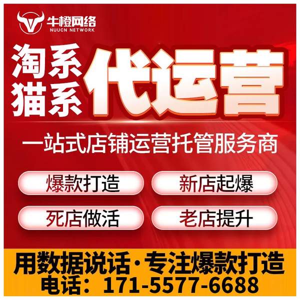濮阳电商代运营